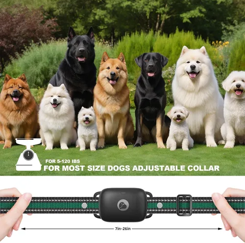 Miniatura 5 de Collar de choque para perro, collar de entrenamiento para perros con control remoto para perros pequeños, medianos y grandes, collar electrónico