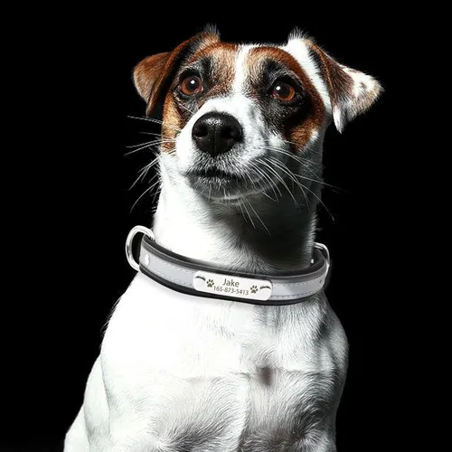 Miniatura 4 de Collares reflectantes personalizados para perros con acolchado de neopreno, collar de perro grabado personalizado con placa de nombre para perros