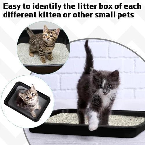 Miniatura 4 de Tessco for you 3 cajas de arena para gatitos, caja de arena para gatos poco profunda, de entrada baja, abierta, impermeable, de plástico, bandeja