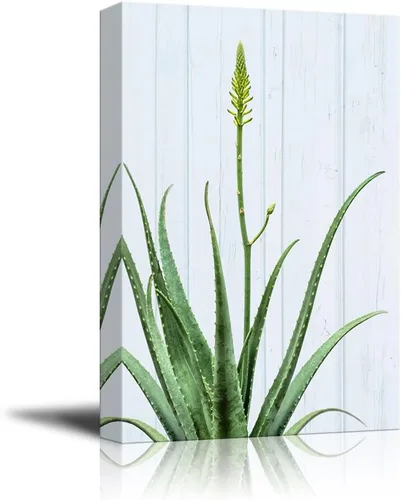 Miniatura 5 de wall26 Lienzo decorativo para pared, diseño de planta suculenta sobre fondo de estilo retro, arte moderno para el hogar, listo para colgar, 12.0 x
