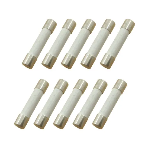 Miniatura 5 de (Paquete de 10) 500 MAmp 0.5 A Fusible de retardo de tiempo de soplado lento de cerámica 0.197x0.787 in