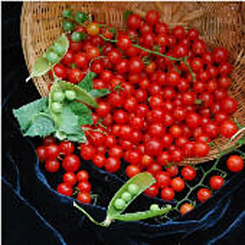 Semillas de tomate de grosella y guisantes dulces (45 semillas) para plantar, granja, cultivo en jardín, invernadero, vegetales, frutas