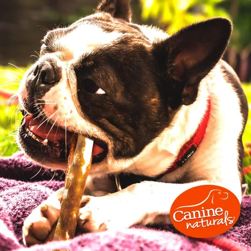 Miniatura 6 de Canine Naturals Masticable de mantequilla de maní, sin cuero crudo y golosinas para perros, hechas de mantequilla de maní real, totalmente natural