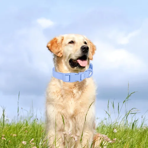 Miniatura 2 de Collar de perro impermeable de goma suave con hebilla de seguridad, collares ajustables para mascotas para perros pequeños, medianos y grandes L azul