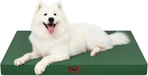 Miniatura 29 de Cama ortopédica de felpa para perros y cachorros medianos, camas impermeables para perros de 30 x 20 pulgadas con funda extraíble lavable, tapete