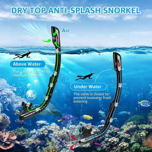 Miniatura 4 de Equipo de esnórquel para adultos, máscara de esnórquel para adultos, conjunto de máscara de buceo de visión amplia, antifugas y antivaho con lente