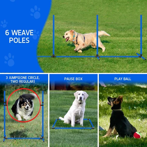 Miniatura 7 de Juego de equipo de entrenamiento de agilidad para perros, kit de entrenamiento de agilidad para carreras de obstáculos para cachorros, incluye 2