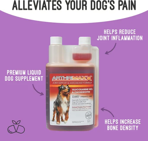 Miniatura 4 de ArthriMAXX Suplemento para perros para inflamación articular y artritis, cuidado natural de las articulaciones del perro, fórmula antioxidante