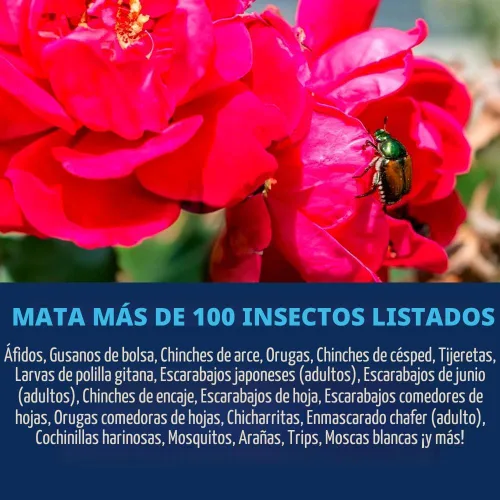 Miniatura 2 de BioAdvanced Asesino de insectos de rosas y flores, listo para usar, 24 onzas