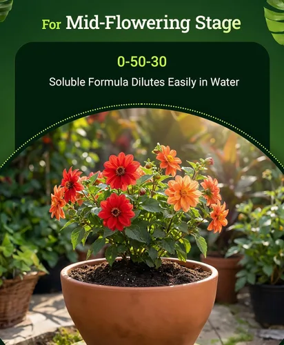 Miniatura 2 de Fox Farm Beastie Bloomz Fertilizante soluble – Fertilizante de alto fósforo para floración media a tardía, pH equilibrado – Apoya el desarrollo