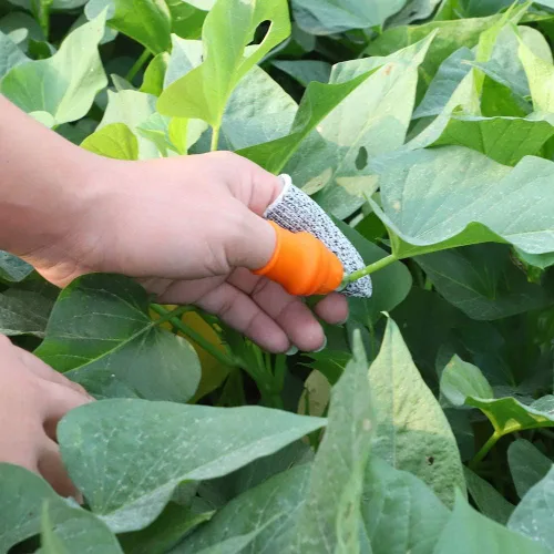 Miniatura 4 de Cuchillo de Pulgar de Silicona para Jardín Mejorado, Herramienta de Cosecha de Plantas, Regalos de Jardinería, Dedo para Recolectar para Recortar