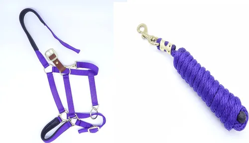 Miniatura 3 de Cabestro para caballo, nailon acolchado, separador de cuero, barbilla ajustable y broche de garganta, tamaño completo de caballo
