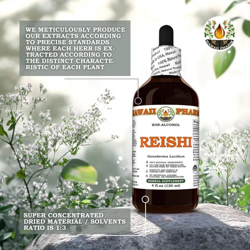 Miniatura 5 de Hawaii Pharm Reishi Extracto sin alcohol, glicerita para apoyo inmunológico, promueve la vitalidad, mejora la memoria y la función cognitiva, apoyo