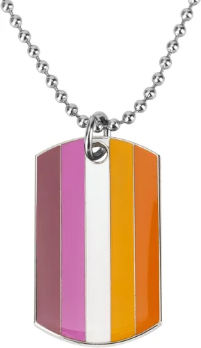 Collar con colgante de etiquetas de perro del orgullo progreso, collar LGBT, regalo de orgullo gay, collar de orgullo arco iris, joyería LGBT,