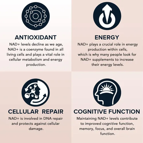 Miniatura 5 de 1600 mg Suplemento de NAD Liposomal, 98% Suplemento Puro de NAD+, Absorción Superior, Alternativa a Ribósido de Nicotinamida o NADH para Aumentar