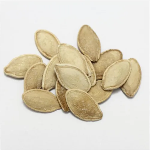 Miniatura 2 de Brownie Brand - Semillas de calabaza gigante del Atlántico - Semillas tradicionales sin OMG para cultivar calabazas masivas de hasta 1,000 libras