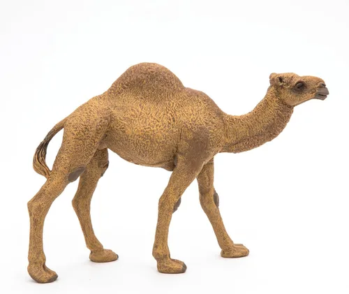 Miniatura 2 de Papo - Figura de dromedario realista - A partir de 3 años - Colección Wild Life - Juego educativo de animales del desierto - Juguete de idea