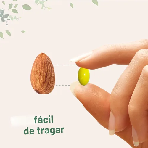 Miniatura 6 de Micro Ingredients Berberina 1000mg con Aceite MCT, 240 Cápsulas Blandas Fórmula Altamente Biodisponible con Berberina HCl de Berberis Aristata