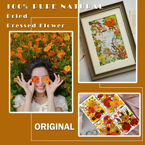 Miniatura 2 de MIKIYA 90 piezas de flores secas prensadas de otoño para resina, hojas florales secas de color naranja natural a granel para manualidades, moldes