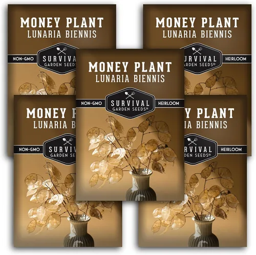Miniatura 12 de Survival Garden Seeds Semillas de plantas de dinero para plantar, 1 paquete con instrucciones para cultivar Lunaria Annua en el jardín de tu casa
