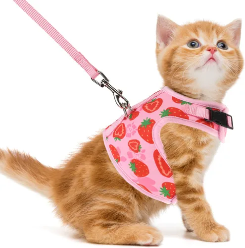 Miniatura 17 de PUPTECK Juego de arnés y correa de malla suave para gatos, arnés acolchado para mascotas, a prueba de escape, para gatos, perros pequeños, conejos