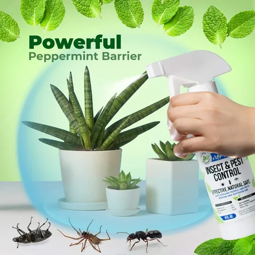 Miniatura 3 de Aceite de menta para control de insectos y plagas de 8 oz - Spray natural para arañas, hormigas y más (2)