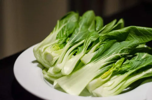 Miniatura 5 de Semillas Vegetal Col Chino Bok Choy (Pak Choi) Verde - 300 Semillas