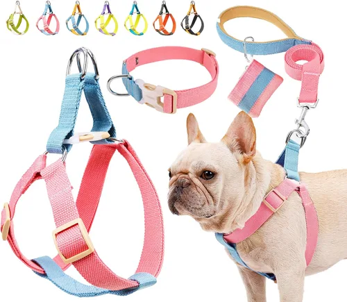 Miniatura 10 de Juego de arnés y correa para perro sin tirones, collar de perro, arnés halter para perro con soporte para bolsa de excrementos, correas ajustables