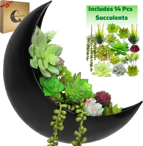 Maceta de pared – Maceta de ventana – 14 suculentas artificiales – Maceta colgante de luna – Macetas colgantes bohemias para plantas de interior,