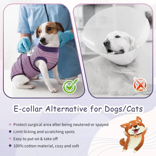 Miniatura 6 de Kuoser - Traje de recuperación para cirugía de perro, traje de recuperación suave y transpirable para perros hembra esterilizados y machos Rayas