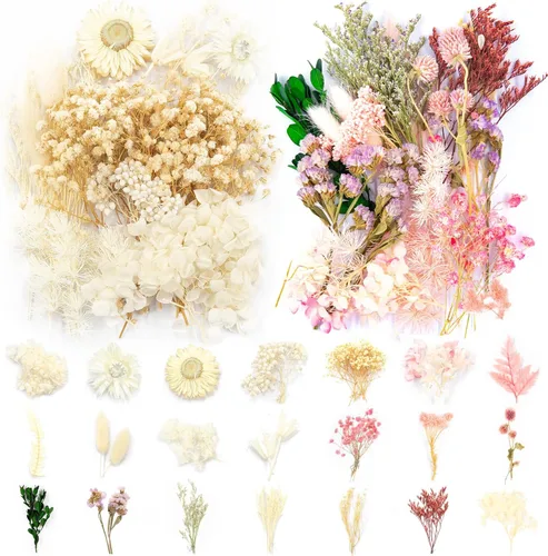 Vignee Flores de hojas prensadas secas reales, múltiples flores prensadas coloridas para manualidades, resina, joyería, manualidades, bricolaje