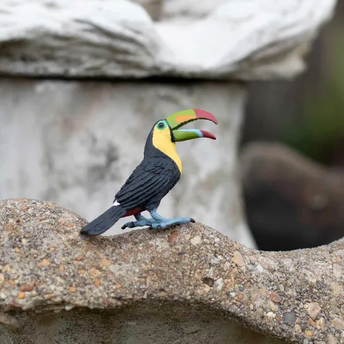 Miniatura 8 de Safari Ltd. Figura de pájaro realista de 2.75 pulgadas, juguete educativo para niños, niñas y niños a partir de 3 años