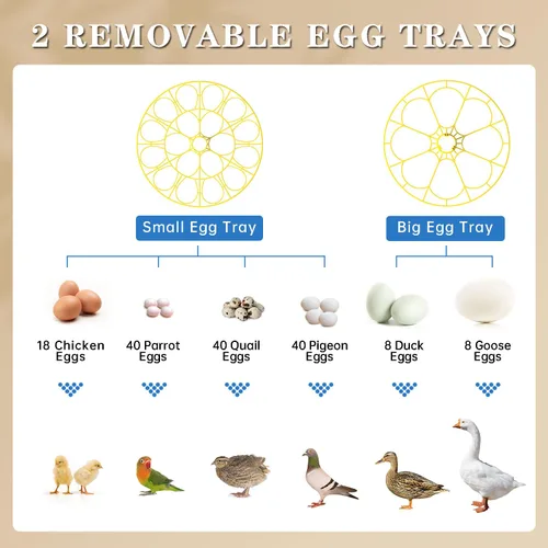Miniatura 3 de Incubadoras para incubar huevos, incubadora de 18 huevos con giro automático de huevos y control de humedad, vela de huevos, relleno externo