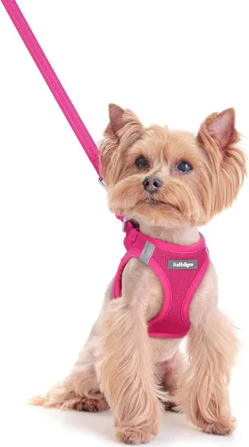 Miniatura 34 de rabbitgoo Juego de arnés para perro de tamaño pequeño y correa, chaleco ligero suave para cachorro, arnés de malla transpirable para mascotas