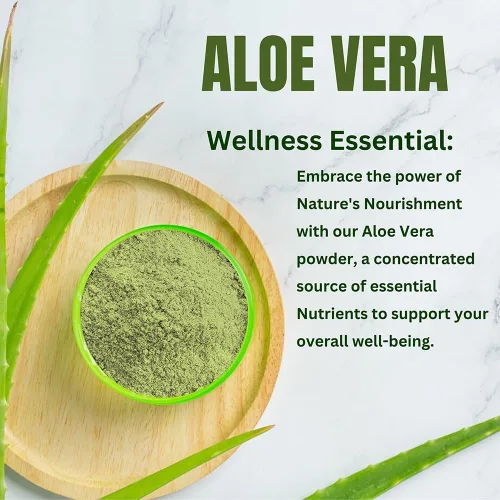Miniatura 8 de Aloe Vera en polvo orgánico – 227 g (8 oz) Aloe Vera en polvo para cabello y cara Aloe Barbadensis AloeVera, cuidado natural del cabello