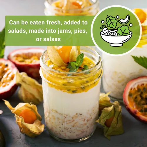Miniatura 6 de Sow Right Seeds - Semillas de cerezas de tierra para plantar - Paquete de reliquia sin OMG con instrucciones para plantar un jardín de verduras