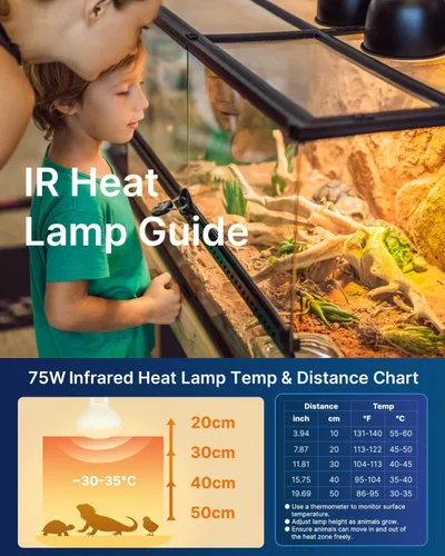 Miniatura 6 de FLSNT Paquete de 2 bombillas de lámpara de calor para reptiles, 75 W para anfibios, dragón barbudo, lagarto, tortuga, gecko