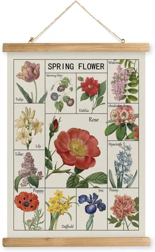 Miniatura 15 de XIAOAIKA Póster Educativo de Vida Silvestre de Seto Británico - Cuadro Ilustrado de la Naturaleza con Marco de Madera - Arte de Pared de Animales