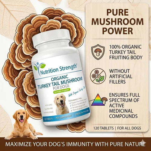 Miniatura 5 de Hongo orgánico de cola de pavo para perros, 500 mg de apoyo inmunológico de alta potencia, promueve la salud celular, la actividad antioxidante