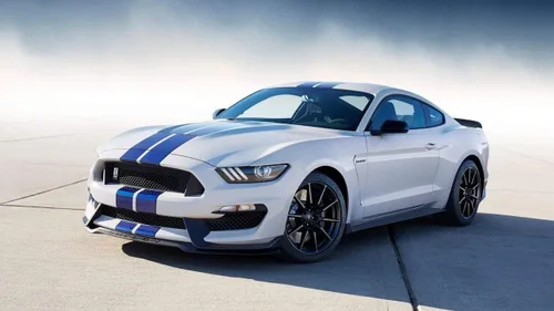 Miniatura 5 de Divisor de barbilla delantero para Mustang Shelby GT350 2016-2020