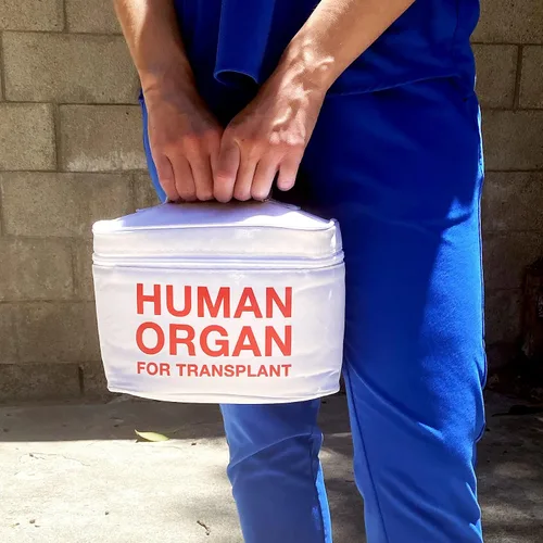 Miniatura 2 de Genuine Fred Bolsa de almuerzo aislada Blanco Transporte de comidas de emergencia Para la escuela Paquete de 6