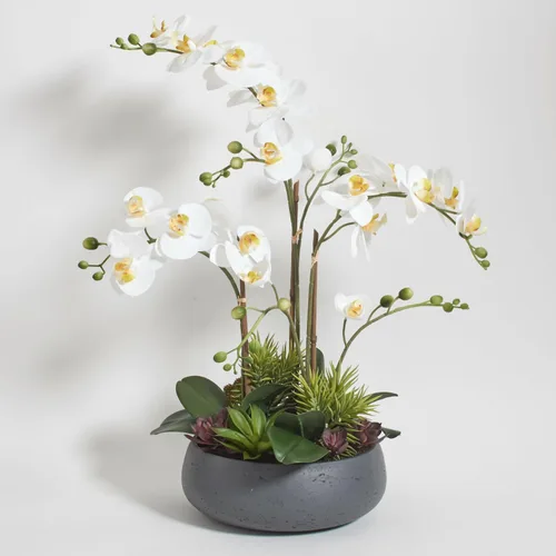 CG Hunter Planta de orquídea sintética con suculentas, soporte de exhibición de flores artificiales de alta calidad para interiores de 23 pulgadas