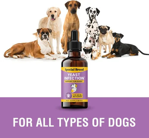 Miniatura 8 de Alivio natural de la infección por levaduras para perros – Tratamiento de picazón en la piel y los oídos, apoya la alergia y la salud inmunológica
