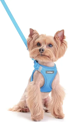 Miniatura 137 de rabbitgoo Juego de arnés para perro de tamaño pequeño y correa, chaleco ligero suave para cachorro, arnés de malla transpirable para mascotas