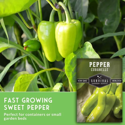 Miniatura 5 de Cubanelle - Semillas de pimiento para plantar – Pimientos dulces italianos y caribeños (Aji Cubanela) – Variedad reliquia suave de pared fina sin