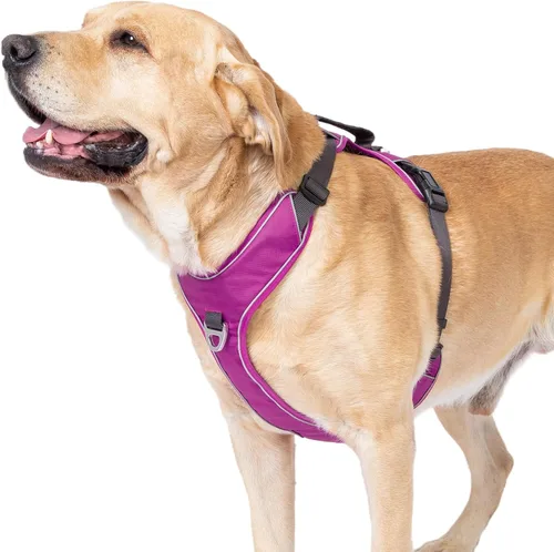 Miniatura 11 de Arnés para perro sin tirones con 2 clips para correa, chaleco reflectante, ajustable y acolchado, clips delanteros y traseros fáciles de caminar