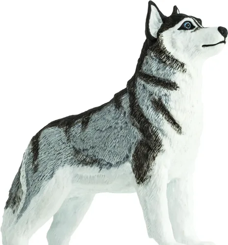 Miniatura 4 de Safari Ltd. Figura de Husky Siberiano – Figura detallada de plástico de 3.25 pulgadas – Divertido juguete educativo para niños, niñas y niños a