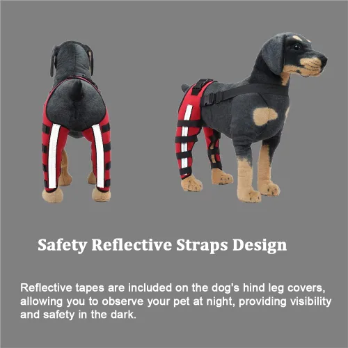 Miniatura 2 de Rodillera ajustable para perro con doble pierna trasera con bisagras de metal soporte flexible y cinturones de seguridad reflectantes, soporte