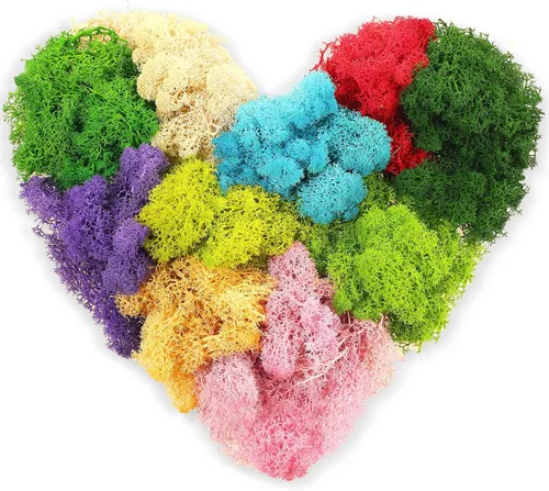 Canlierr Musgo falso de color preservado para manualidades, musgo decorativo artificial, bosque floral seco para terrarios, decoración de pared,
