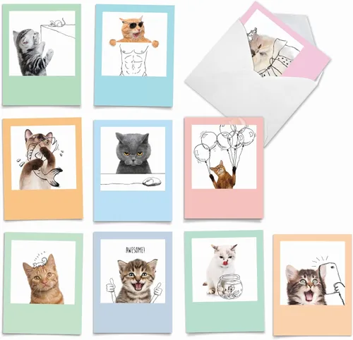 Miniatura 10 de The Best Card Company - 10 tarjetas de gato en blanco para todas las ocasiones (4 x 5.12 pulgadas) - Lindo juego de tarjetas a granel surtido - Cat